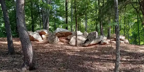 Image 3: rock garden 2024-09-12