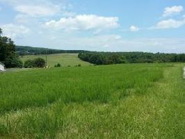 590 THREE QUARTER POINT RD