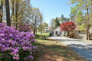 109 Needlewood DR