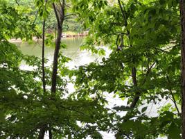 Lot 58 Bay Point CT