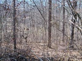 Lot 19 Watchtower DR