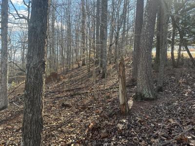 Lot 41 Lynville DR
