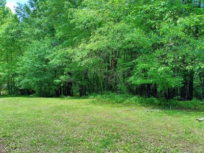 Lot 49 Gap Bridge RD