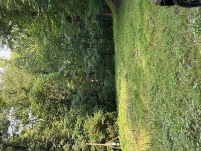 21 Springhollow DR