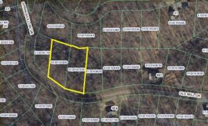 Lot #38 & 39 OLD MILL DR
