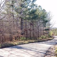 Grassland DR