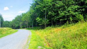 Lot 39 Blazing Ridge DR