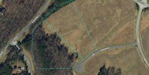 Lot #3 & 4 Lots 3 & 4 Tobacco Row CIR