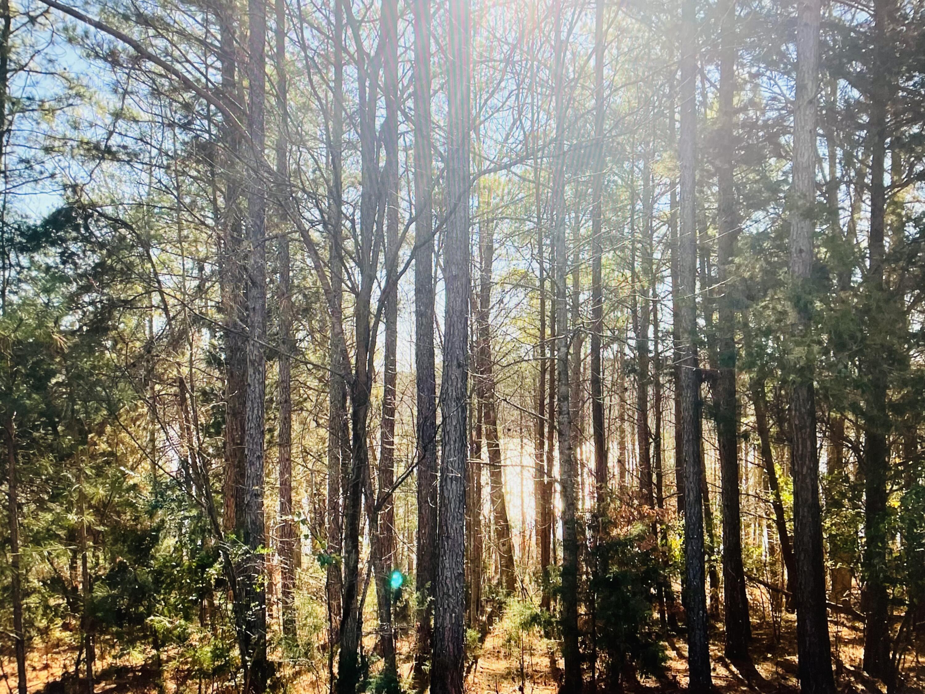 Image 2: Lot 5 Falcon Ridge Dr - Lake