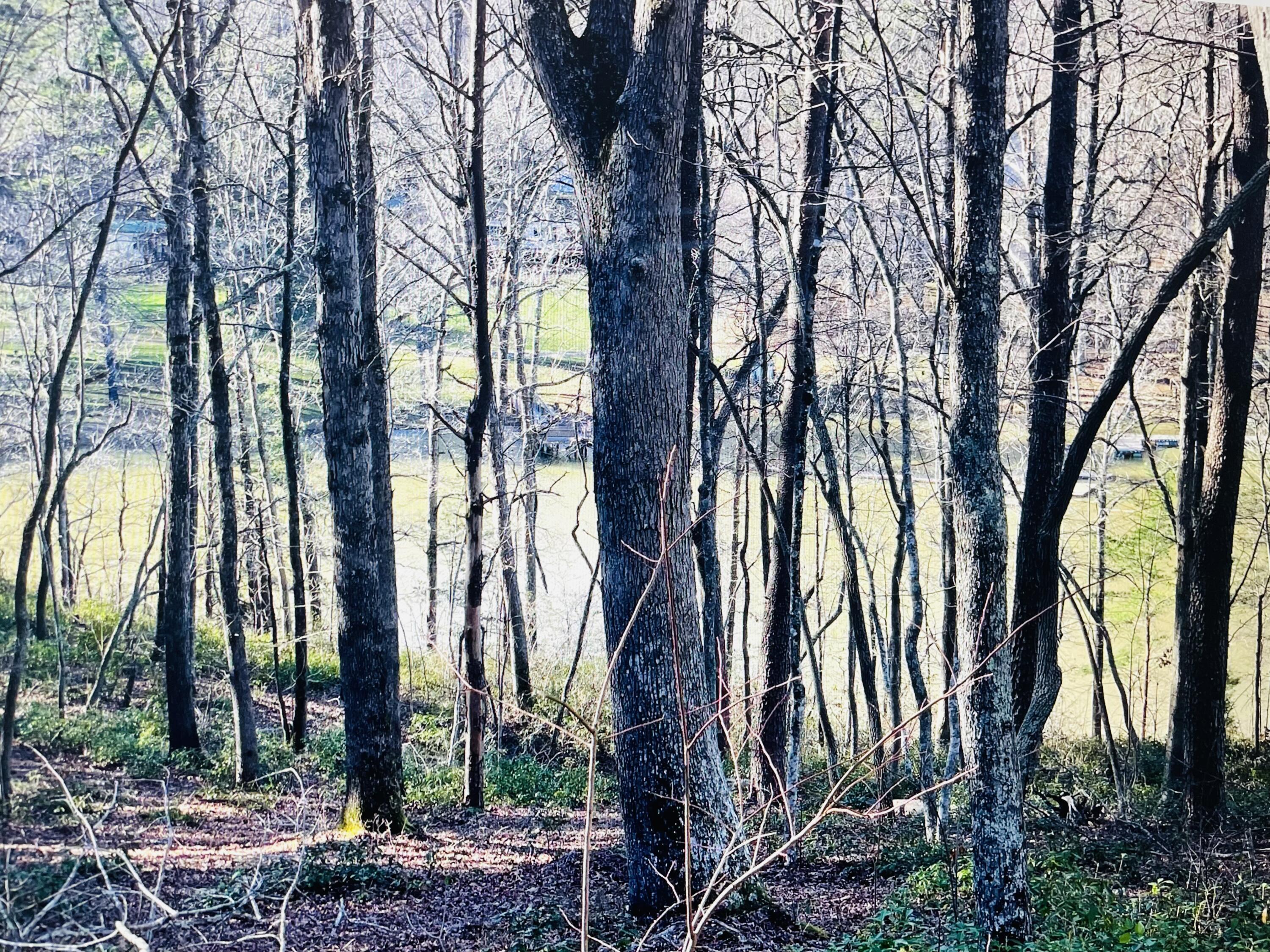 Image 3: Lot 5 Lake View