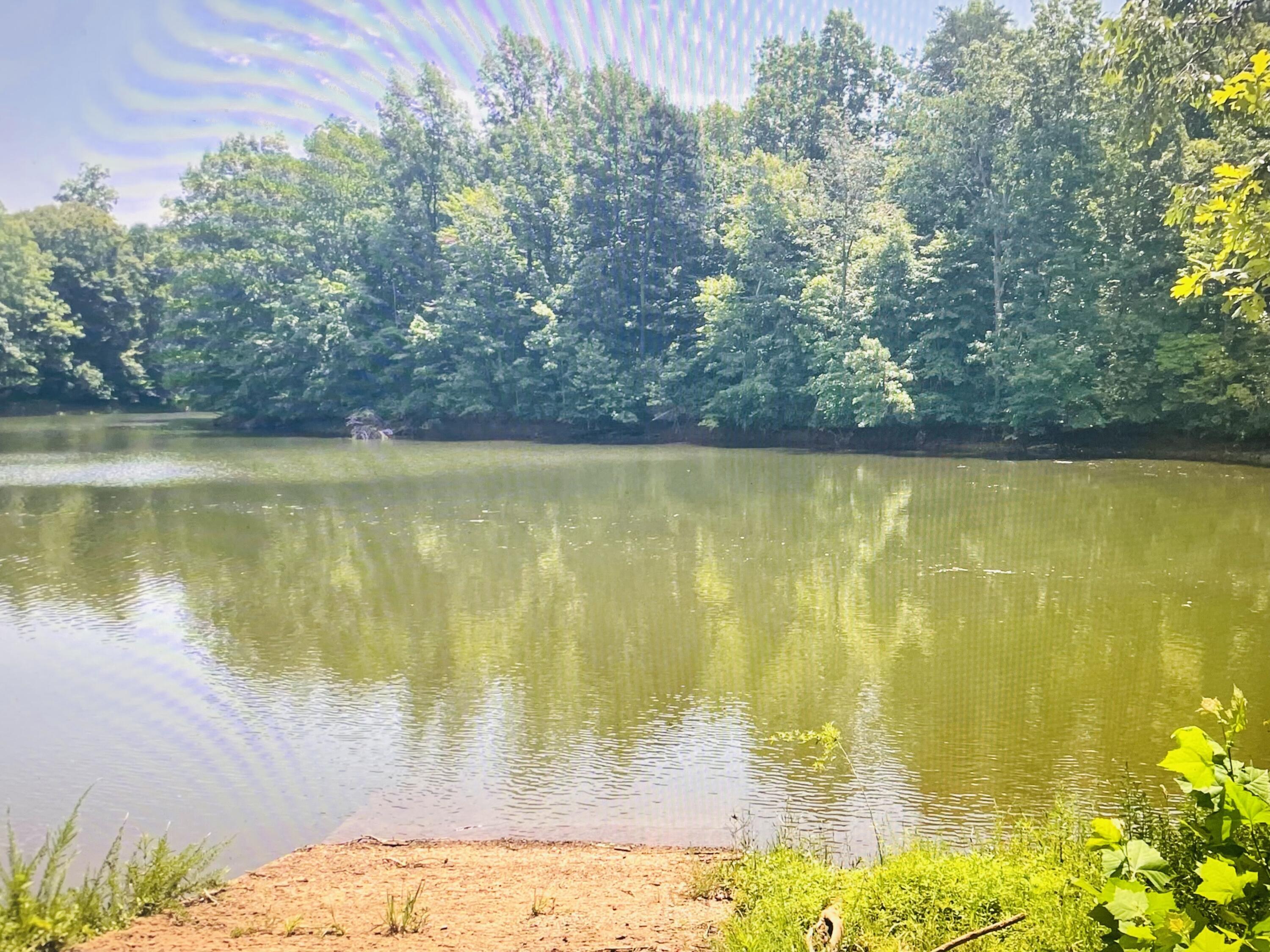 Image 4: Lot 5 Boat Ramp