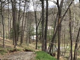 Lot 47 Lakewatch CIR
