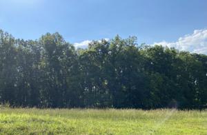 Lot 57 Red Barn LN