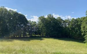 Lot 59 Red Barn LN
