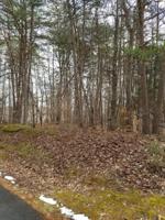 Lot 45 Forest Lawn DR