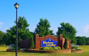 Lot 48 Diddee CT