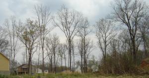 Lot 19 Marie DR