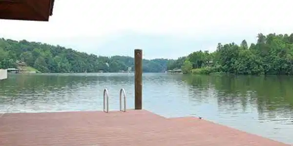 Image 3: Large Dock and Floater