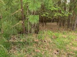 Lot 205 Acres CT