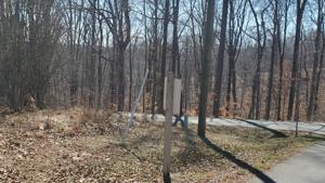 Lot #98 Minton CIR