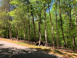 Lot 26 Gap Bridge RD