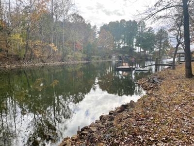 Lot 8 Moneta RD