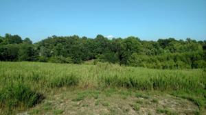 Lot 4 Golf View CT