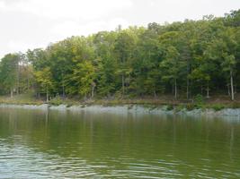 Lot 6 Old Point RD