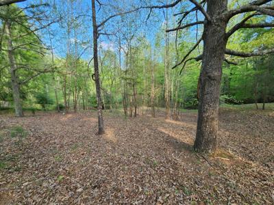 Lot 14 Bailey BLVD