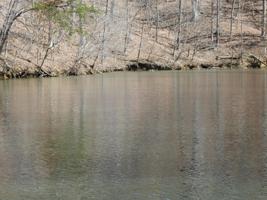 Lot 50 Waterside DR