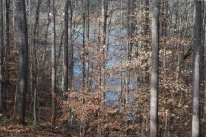 Lot 10 Lake Knoll RD