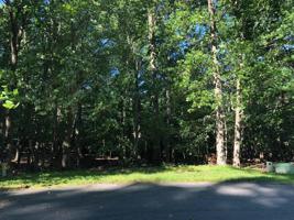 Lot 231 Lake Front CIR