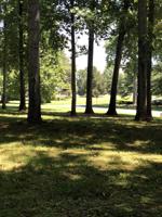 Lot 146 Driftwood CIR