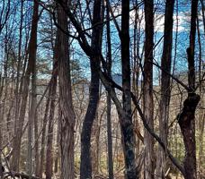 Lot 376 Morgans Mill DR