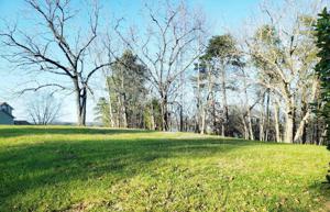 Lot 48 Pine Bay DR