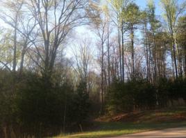 Lot #356/357 Clear Pointe Run