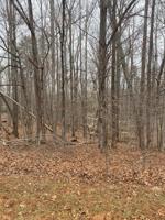 Lot 35 Island Pointe LN