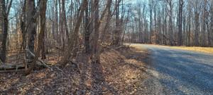 Lot 29 Popular Ridge RD