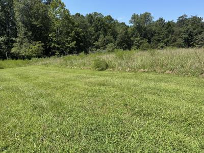 Lot 1 Red Barn LN