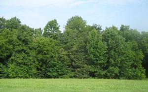 0 Hales Ford RD Lot #31N