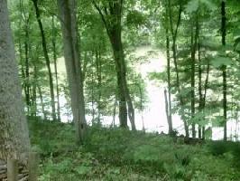 LOT 80 LAKESHORE TERRACE RD