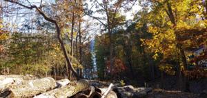 Lot #92 & 93 Mountwood DR