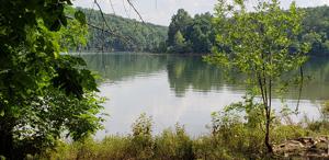 Lot 120 ISLAND POINT DR
