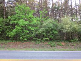Lot #21 SCRUGGS RD