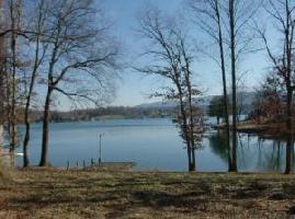 LOT 1 BIG COVE DR