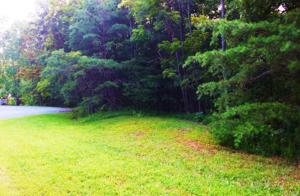 Lot 40 Red Fin LN