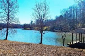 0 CARTERS COUNTRY LN Lot #5&6