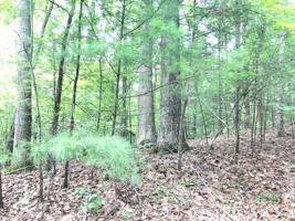 Lot 8 Woodway CT