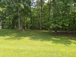379 Island Pointe LN