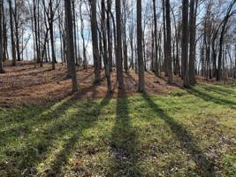 Lot 75 Crestview RD